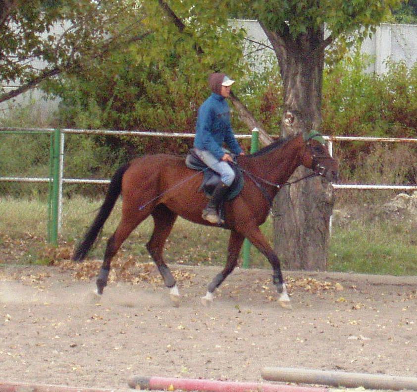 P1010002.JPG