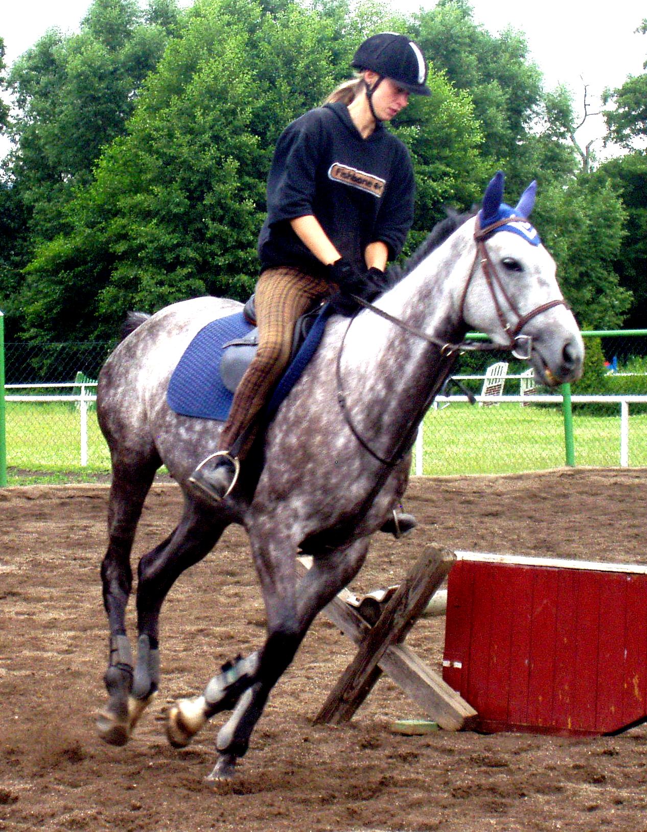 P1010114.JPG