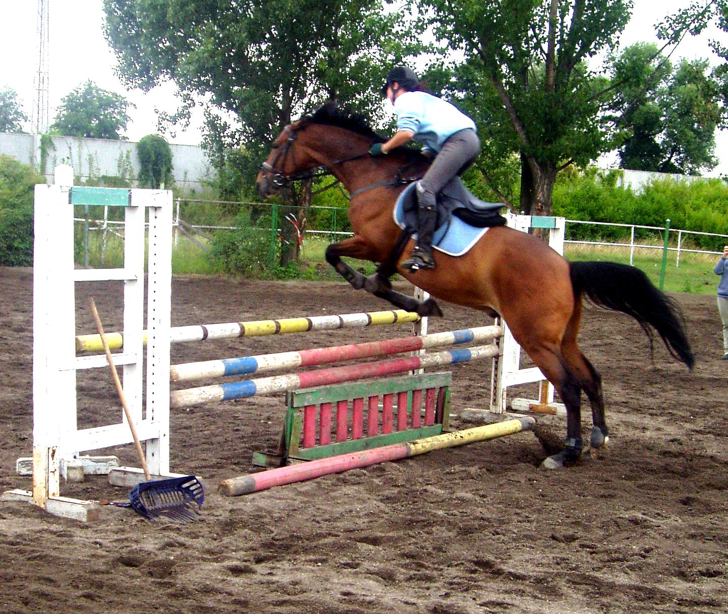P1010131.JPG