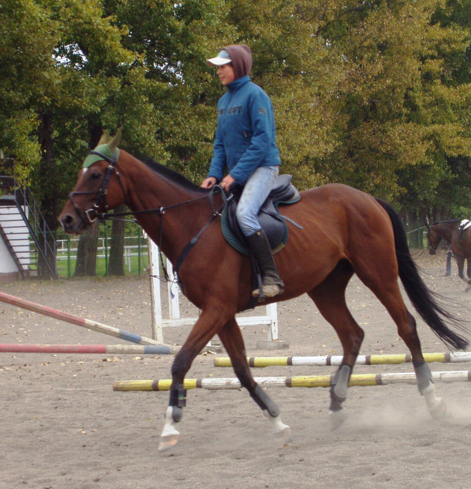 P1010019.JPG