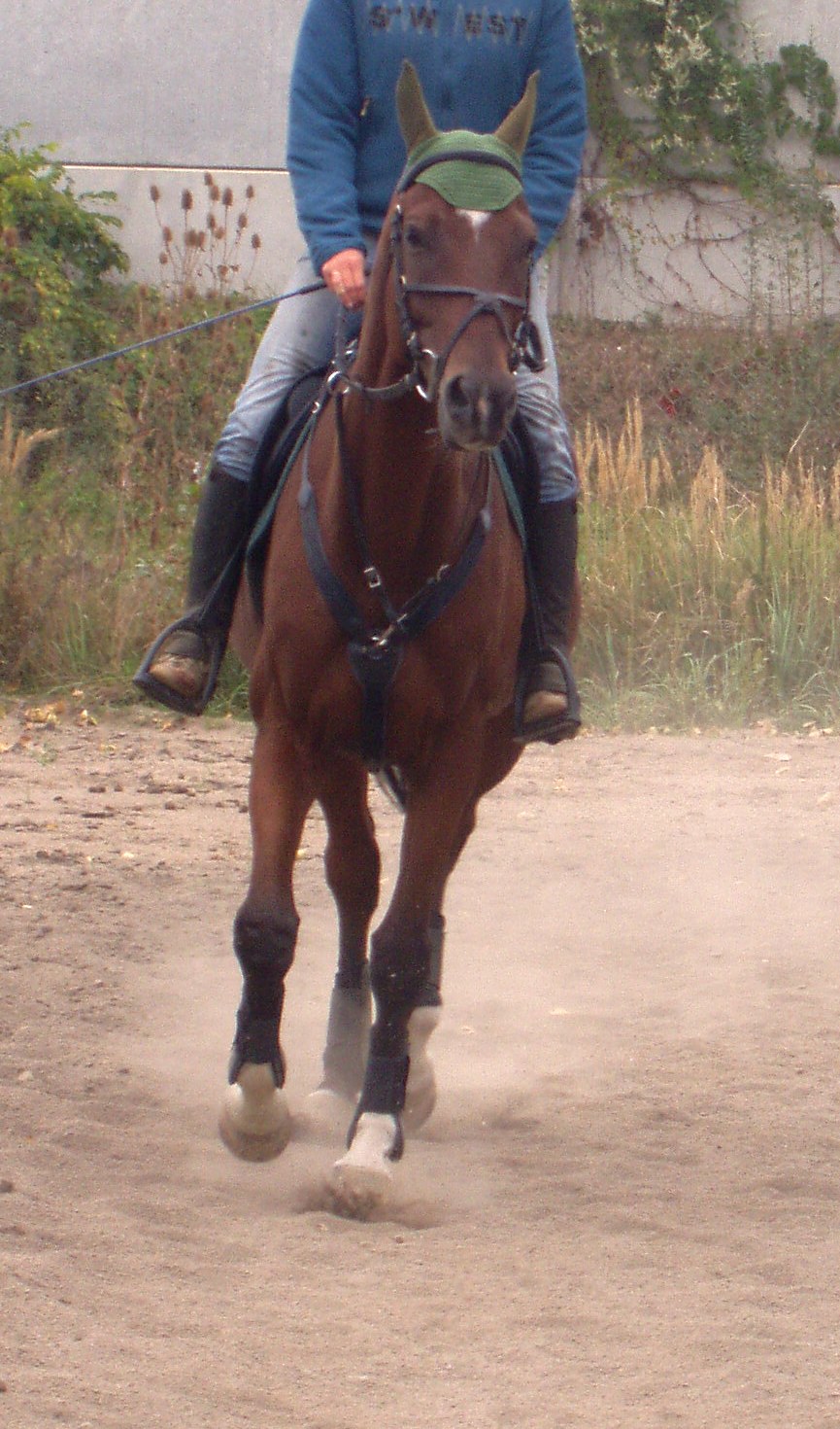 P1010020.JPG