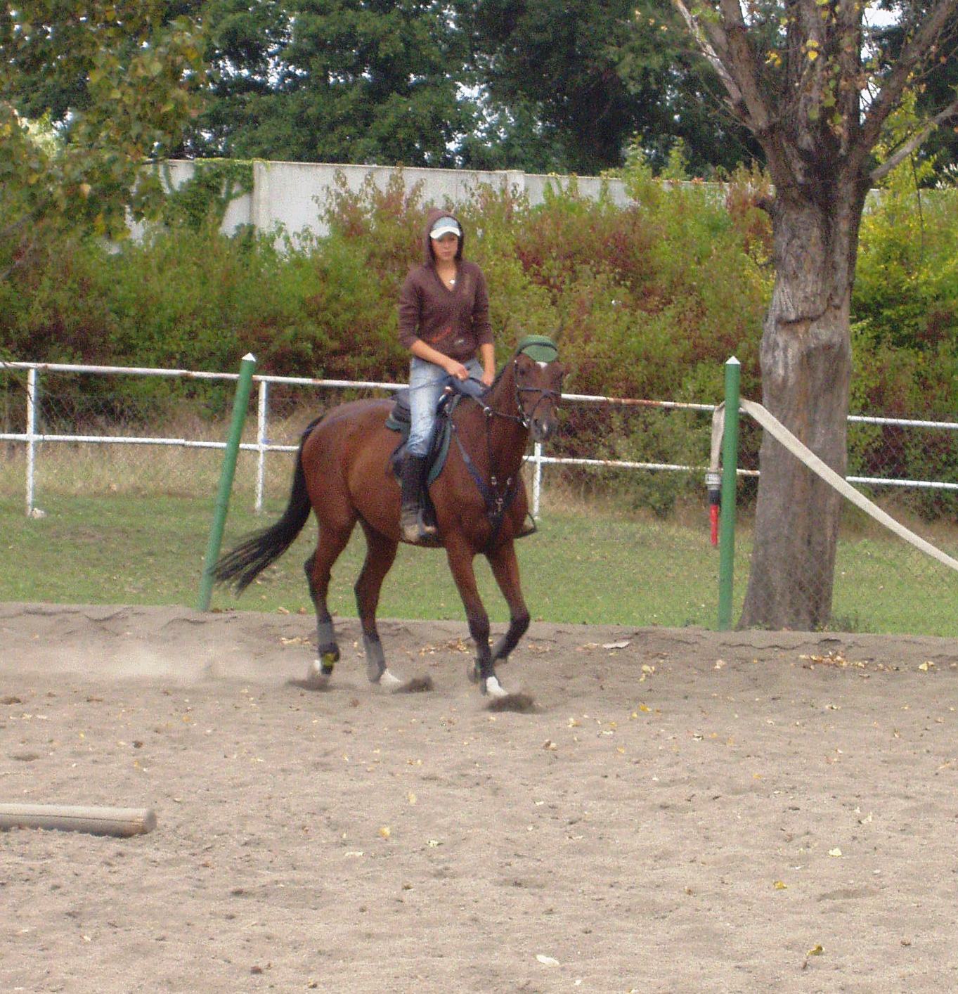 P1010023.JPG