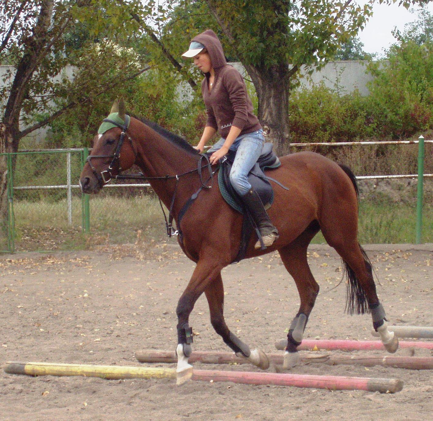 P1010024.JPG