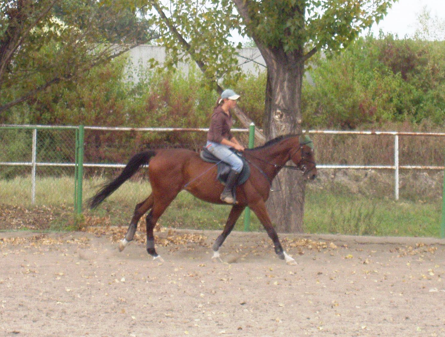 P1010034.JPG