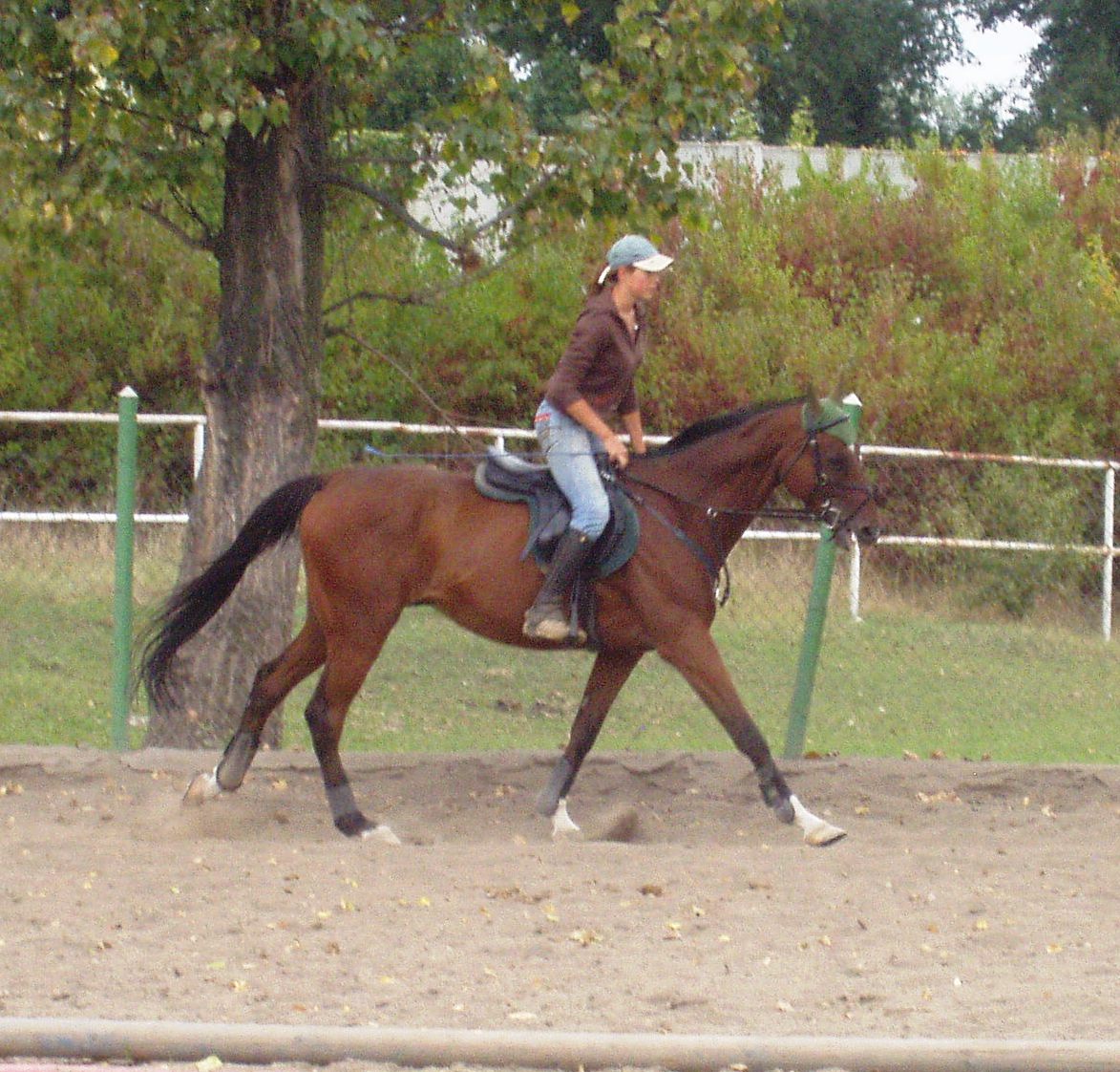 P1010036.JPG