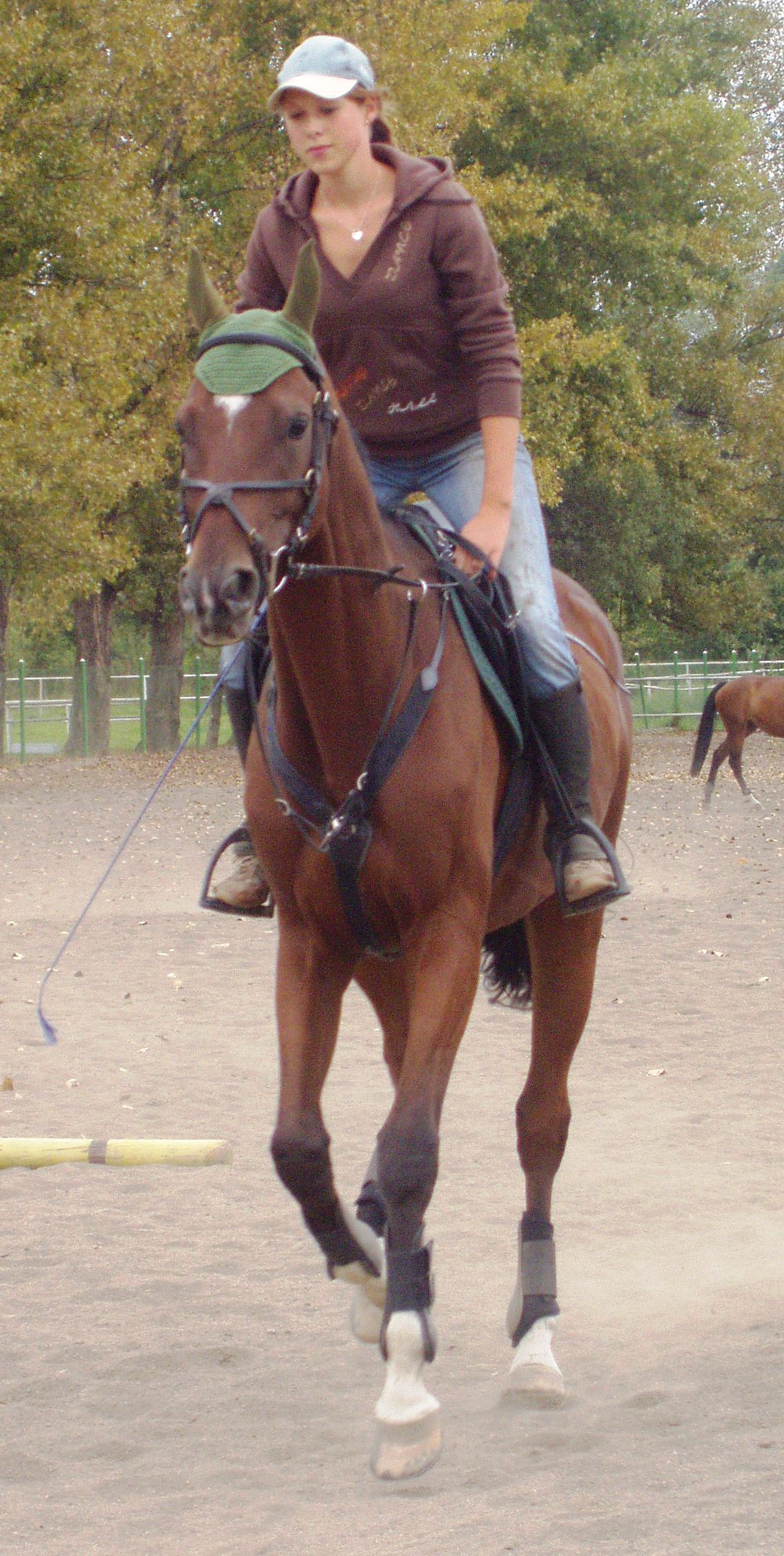 P1010037.JPG