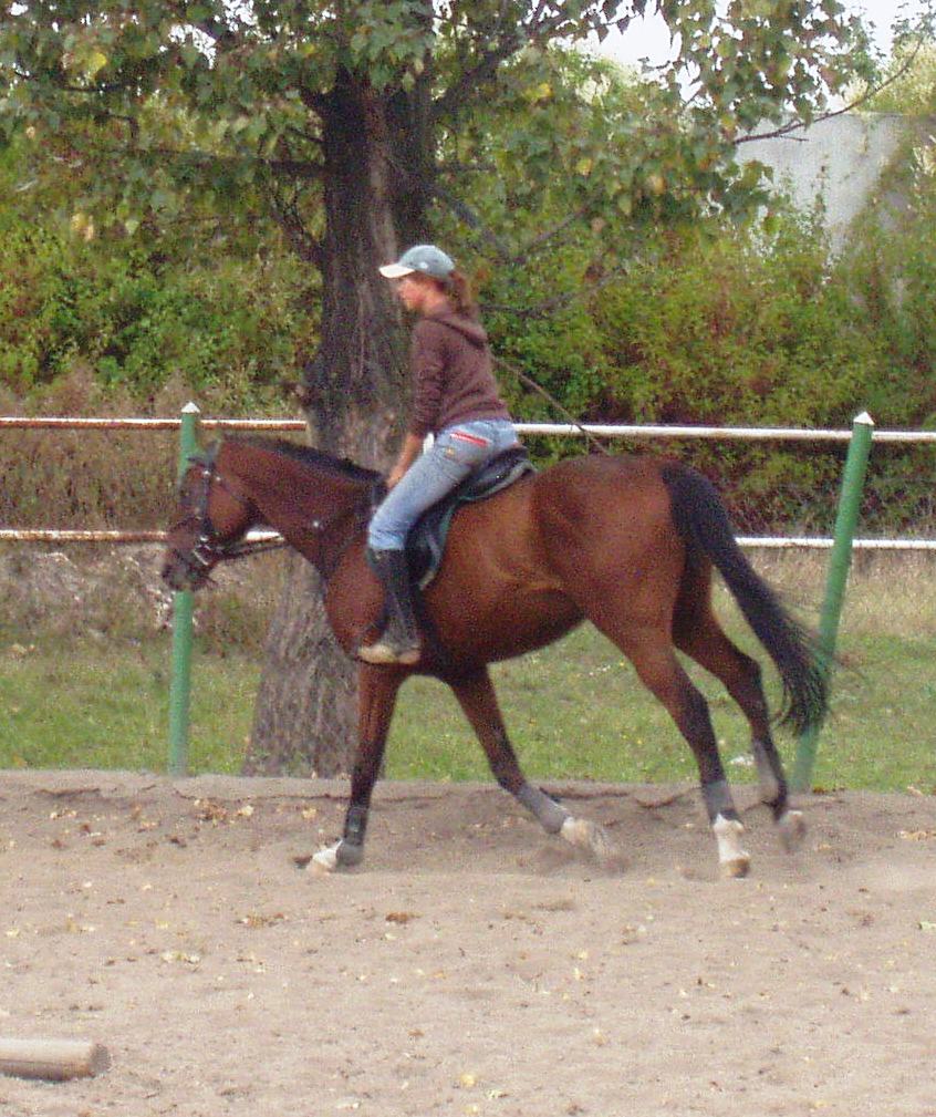 P1010040.JPG