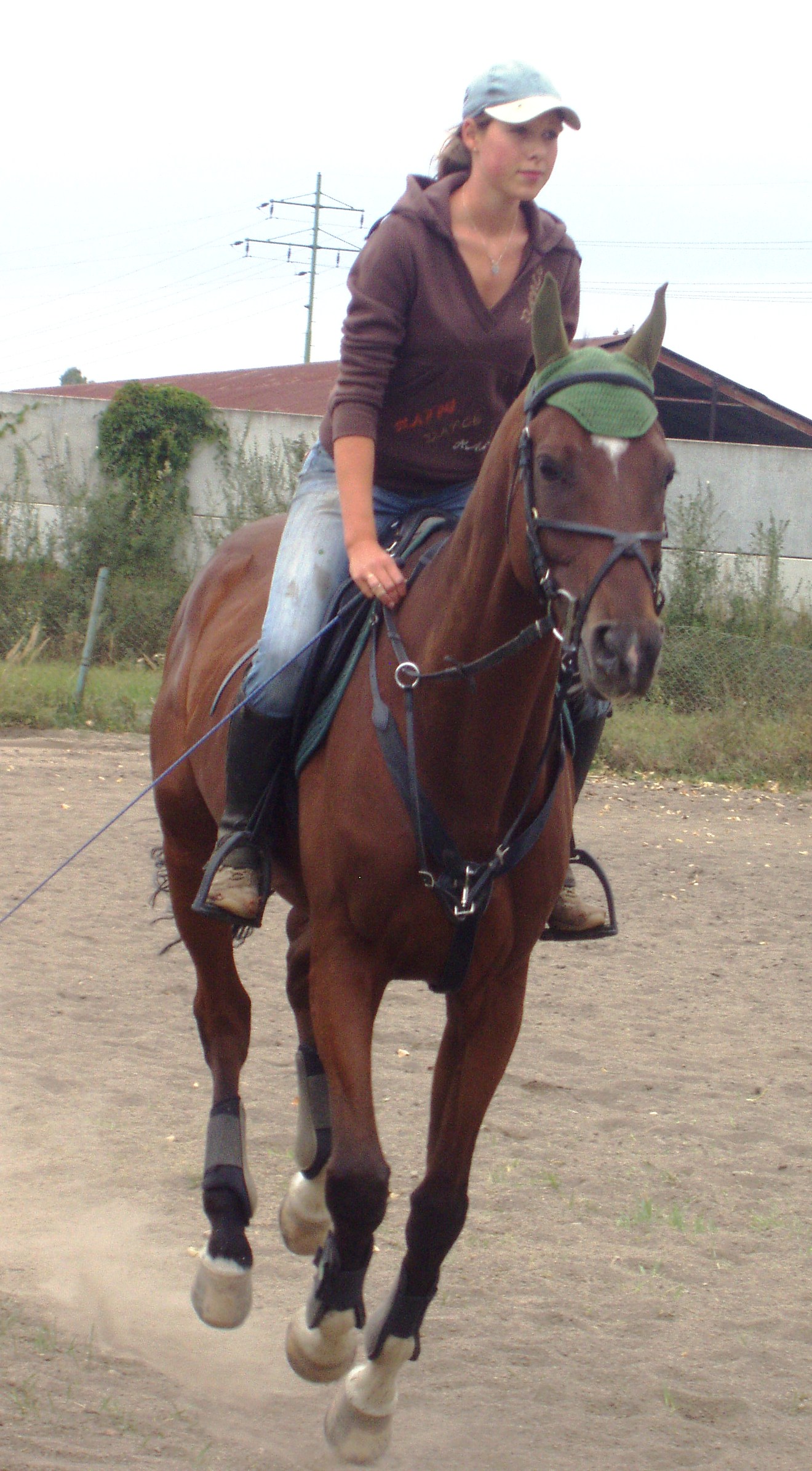 P1010041.JPG
