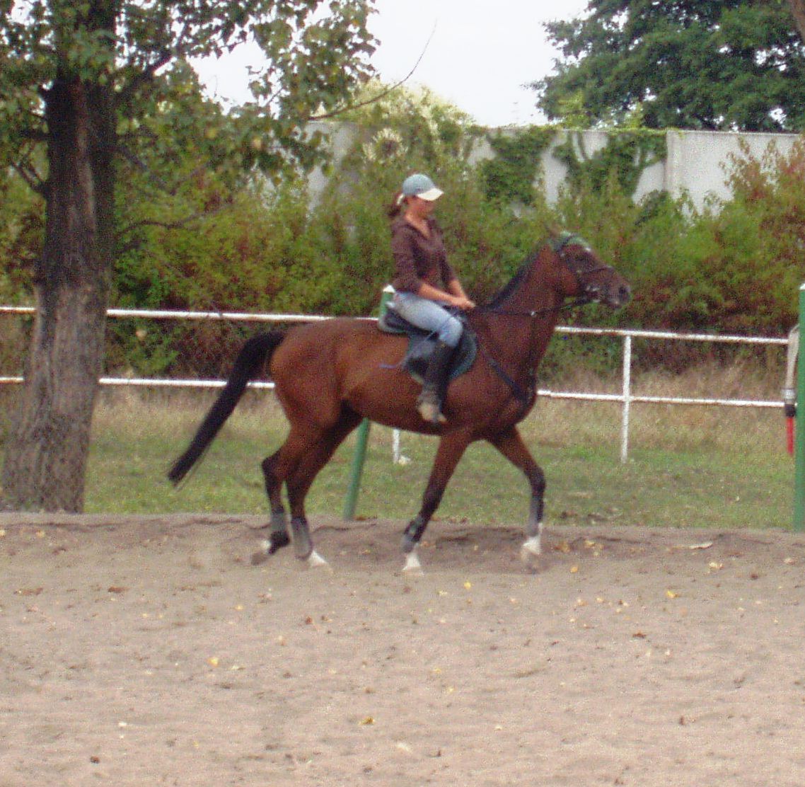 P1010044.JPG