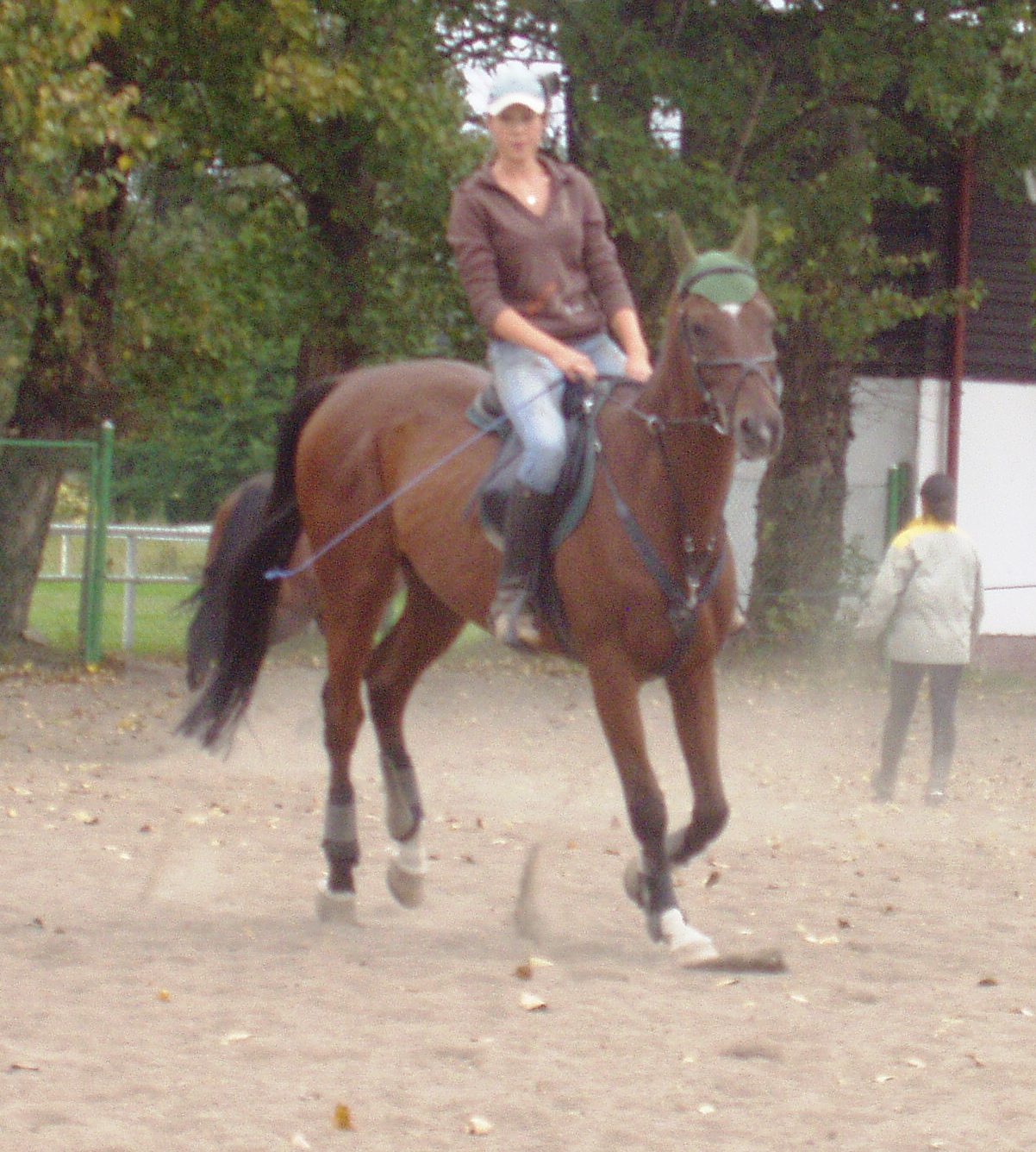 P1010045.JPG