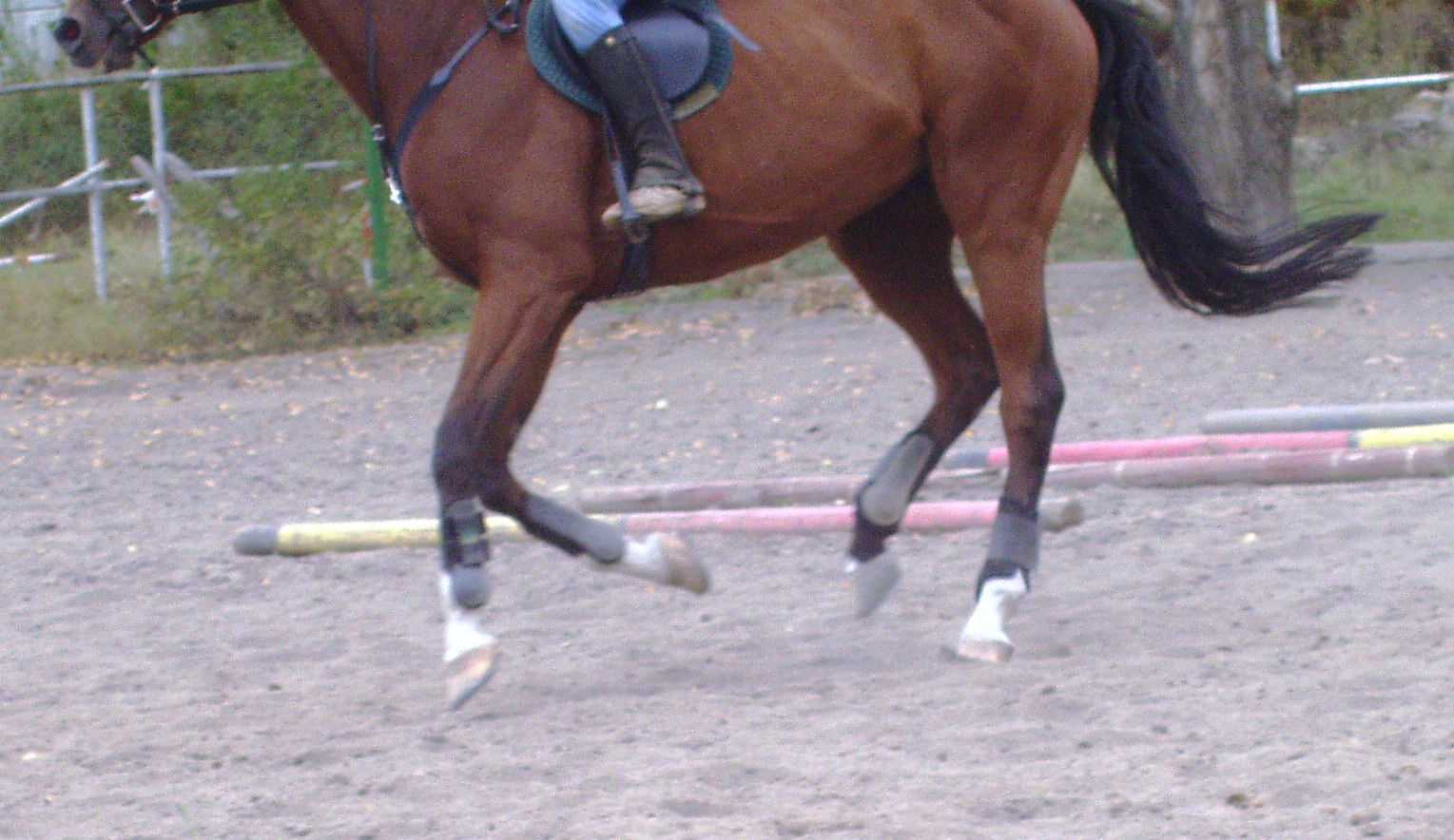 P1010047.JPG