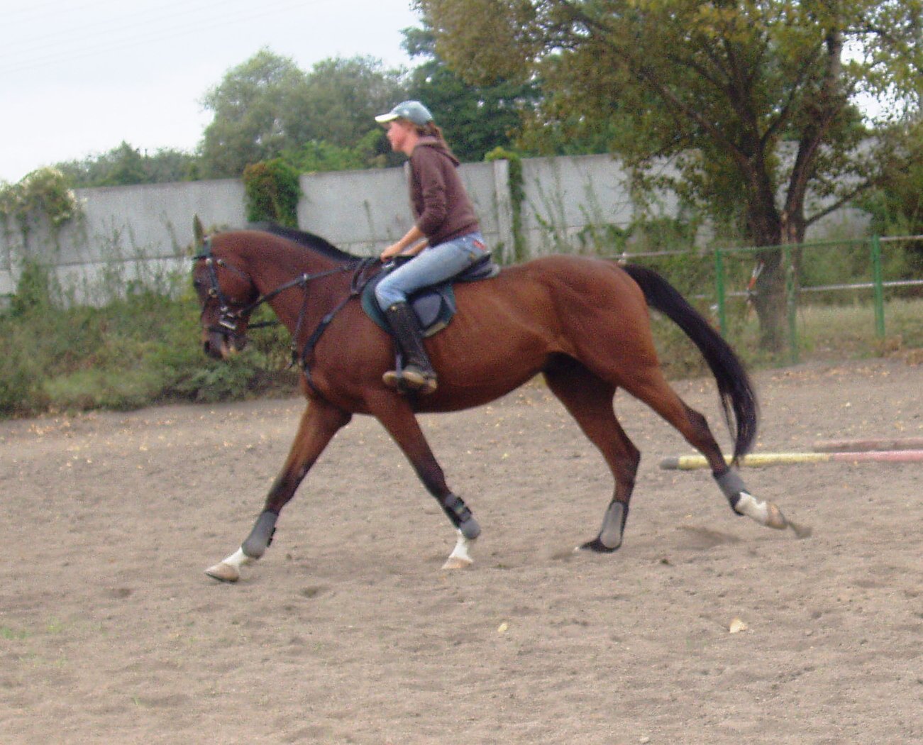 P1010051.JPG