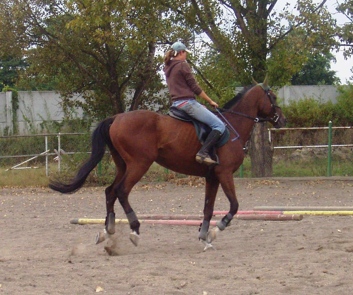 P1010053.JPG