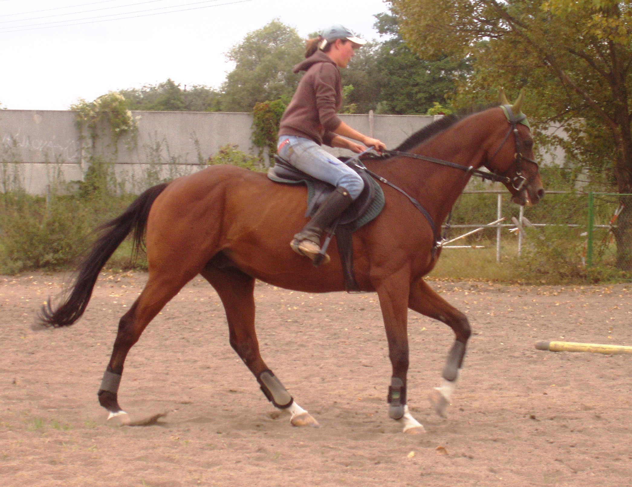 P1010054.JPG