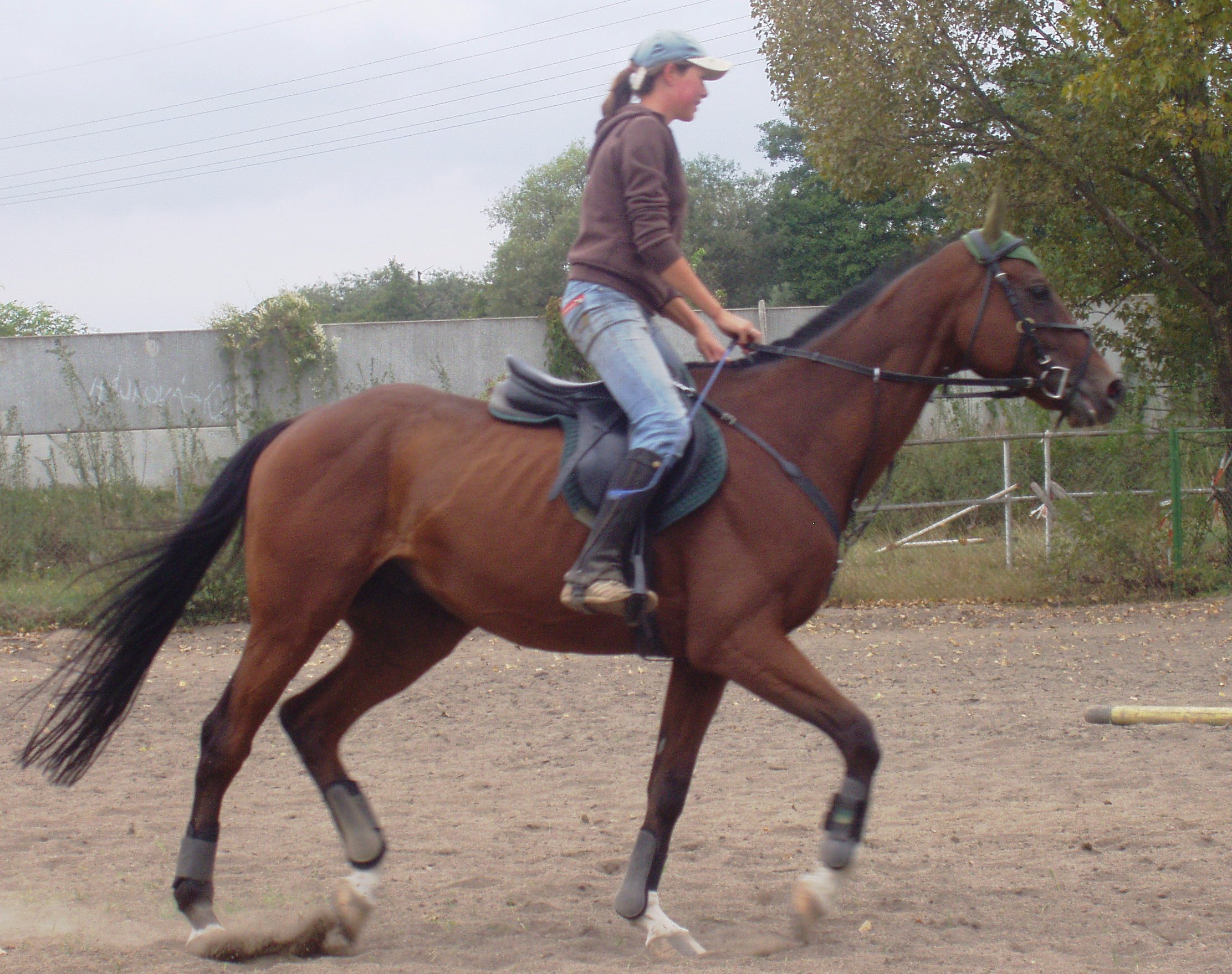 P1010055.JPG