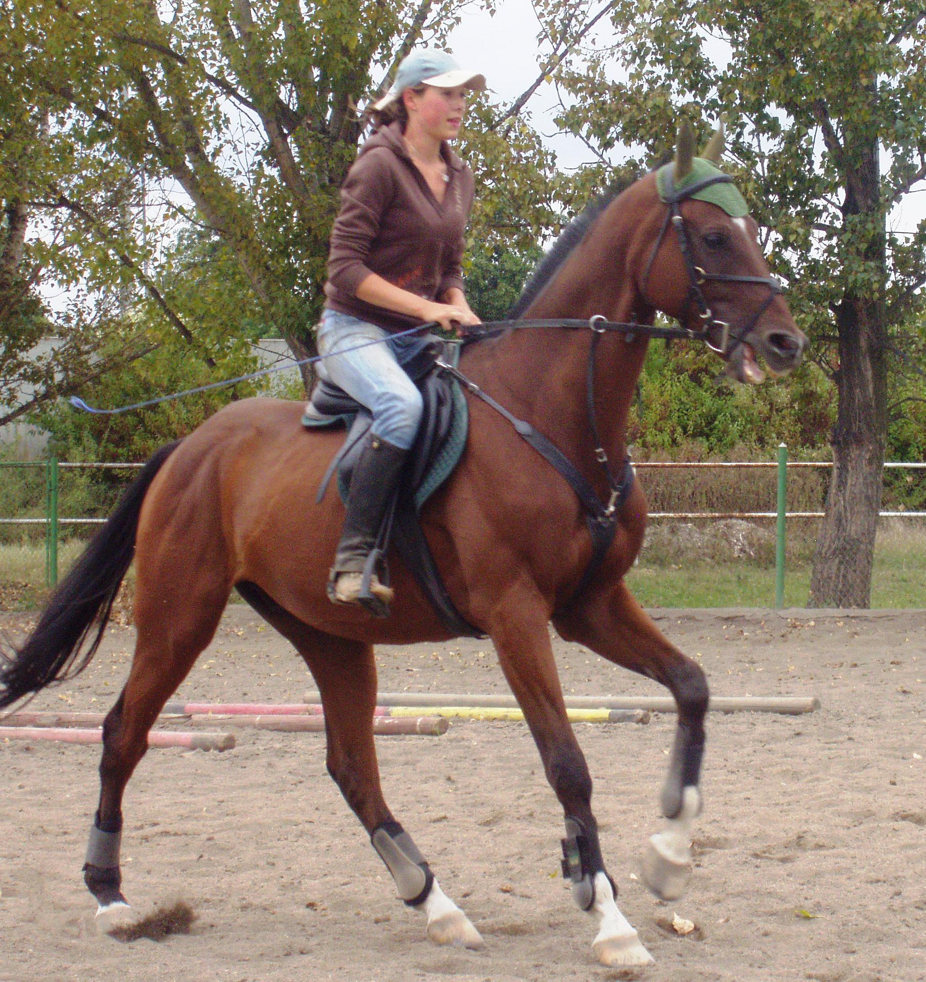 P1010059.JPG
