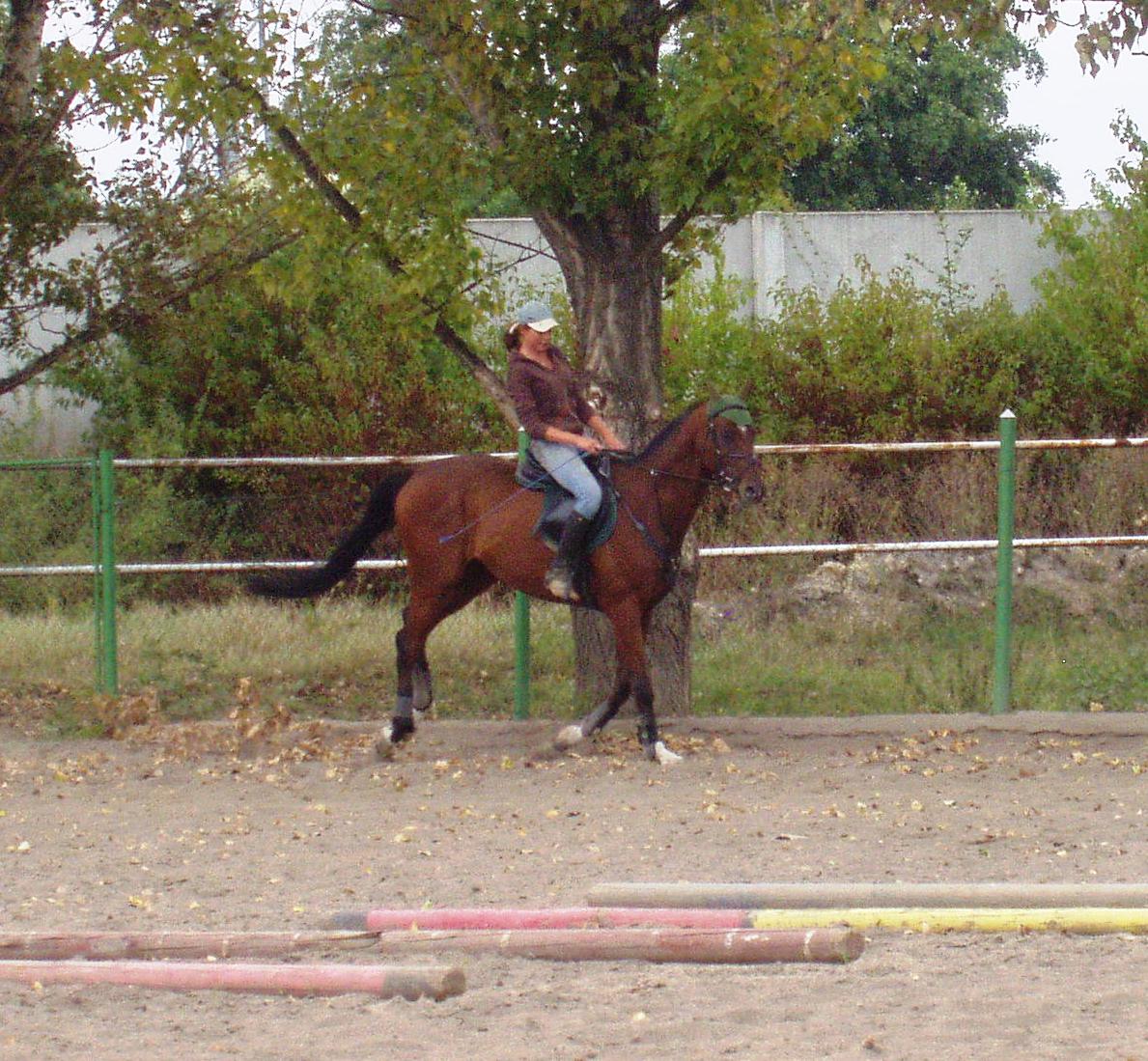 P1010065.JPG