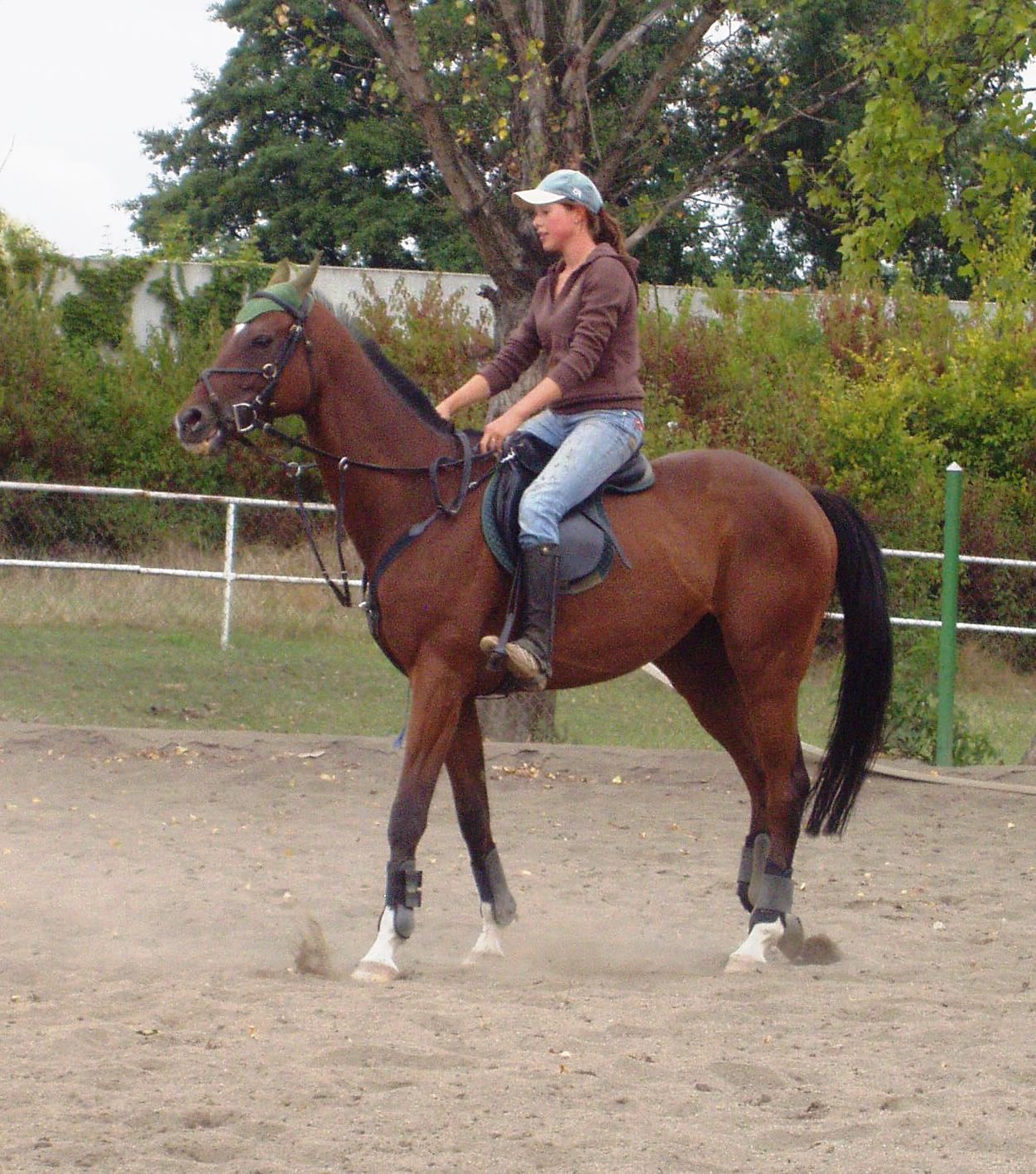 P1010066.JPG