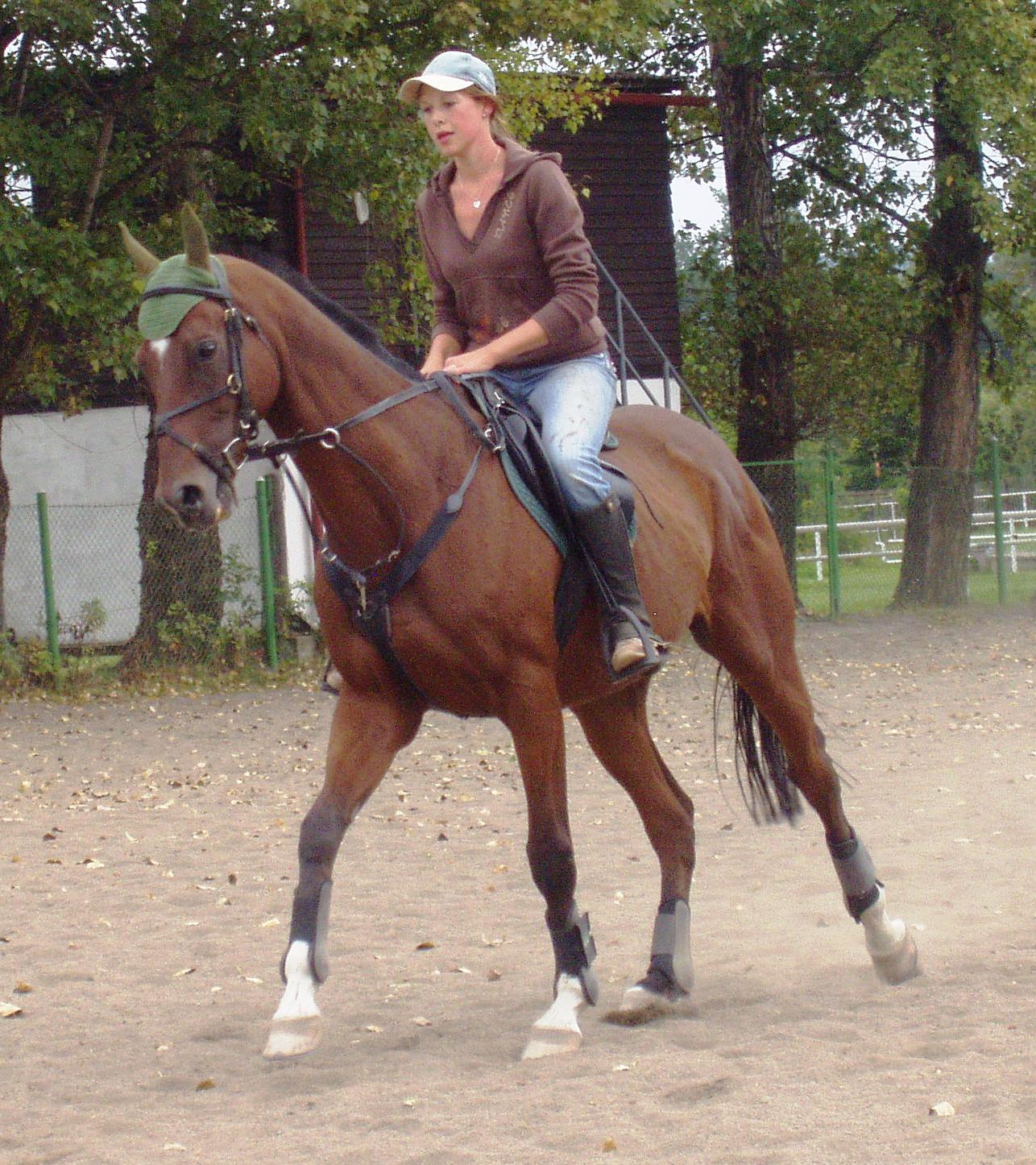 P1010067.JPG