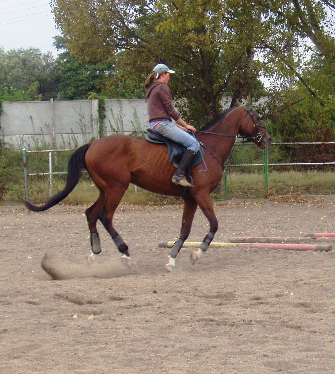 P1010068.JPG