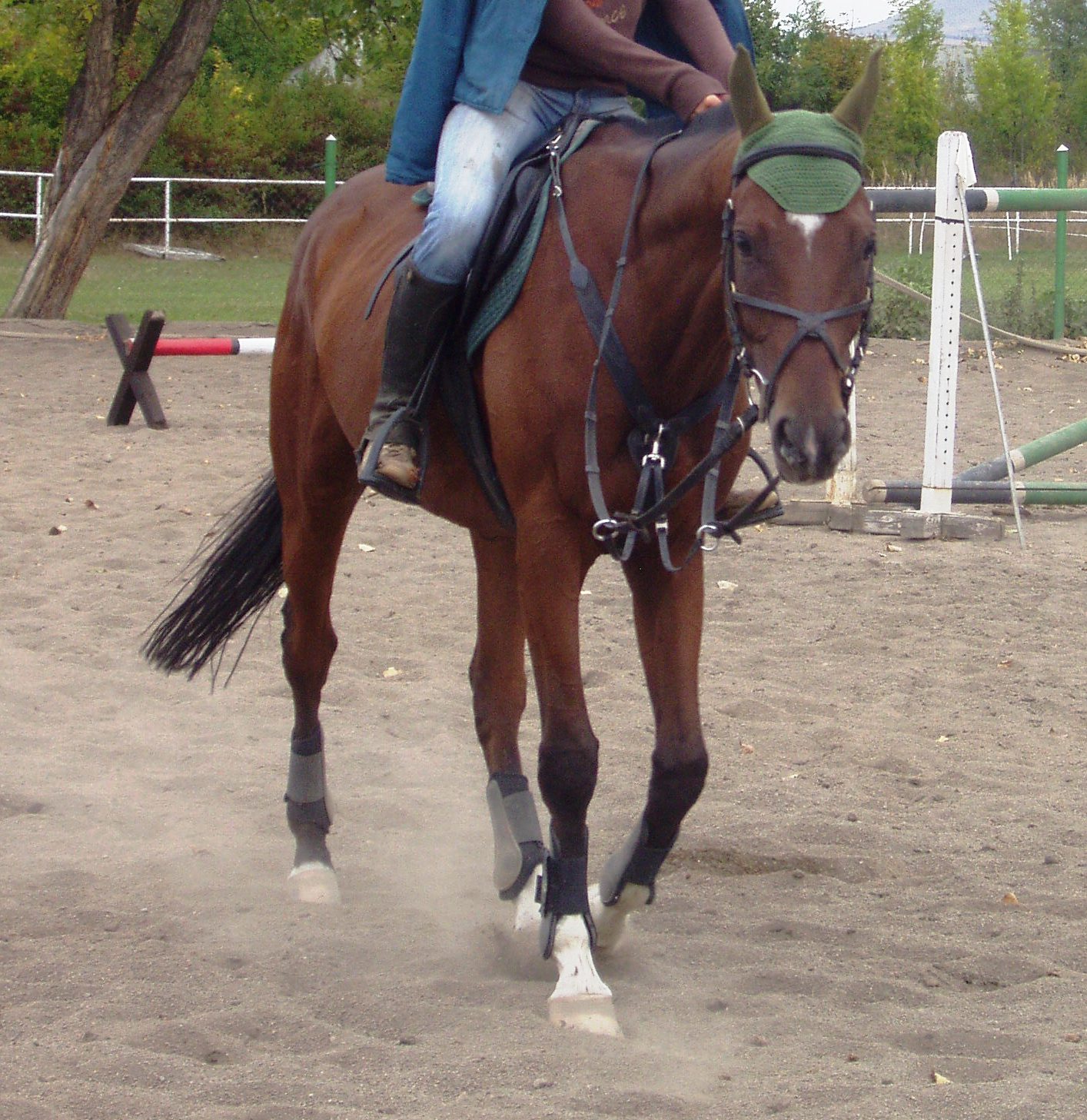 P1010069.JPG