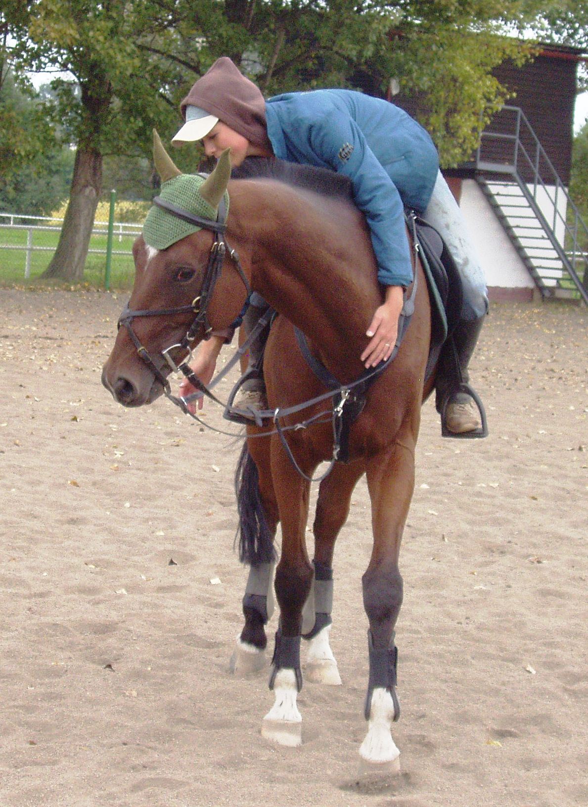 P1010071.JPG