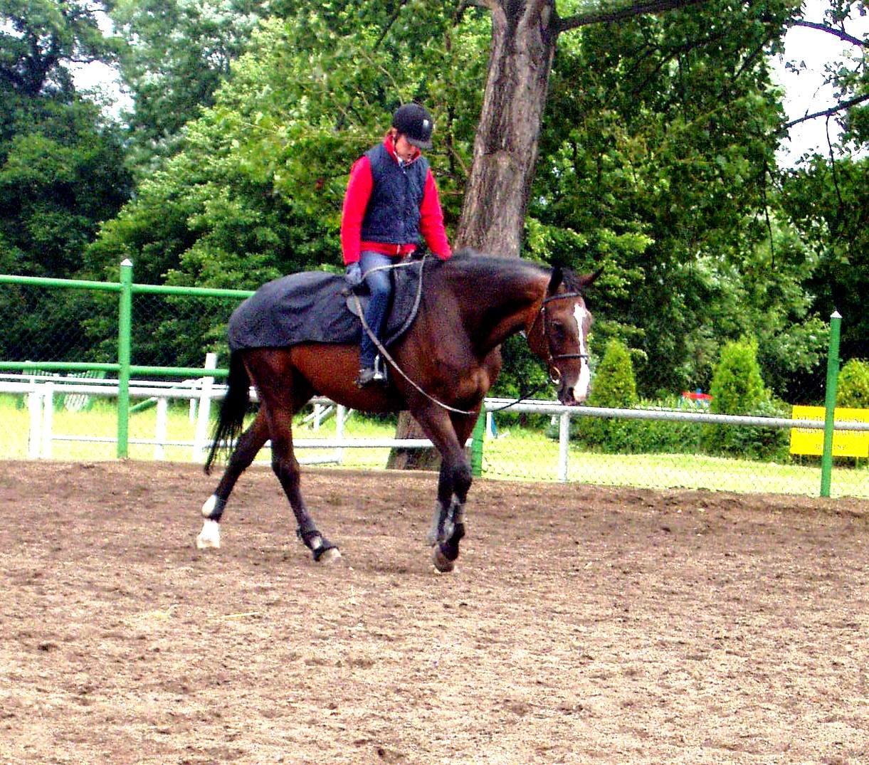 P1010034.JPG
