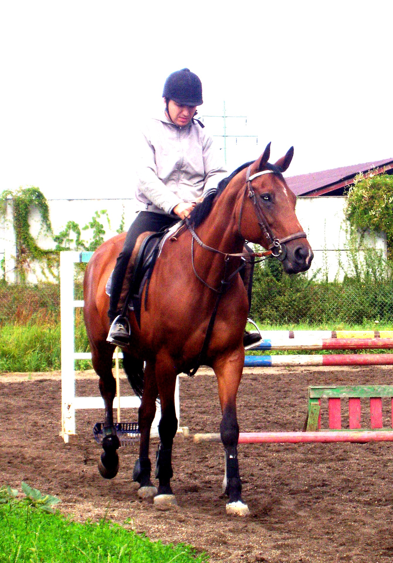 P1010037.JPG