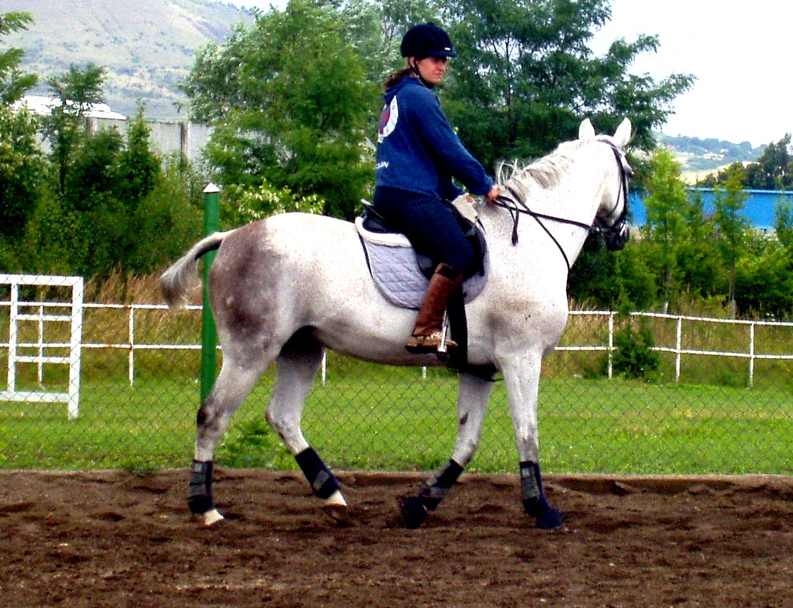 P1010049.JPG