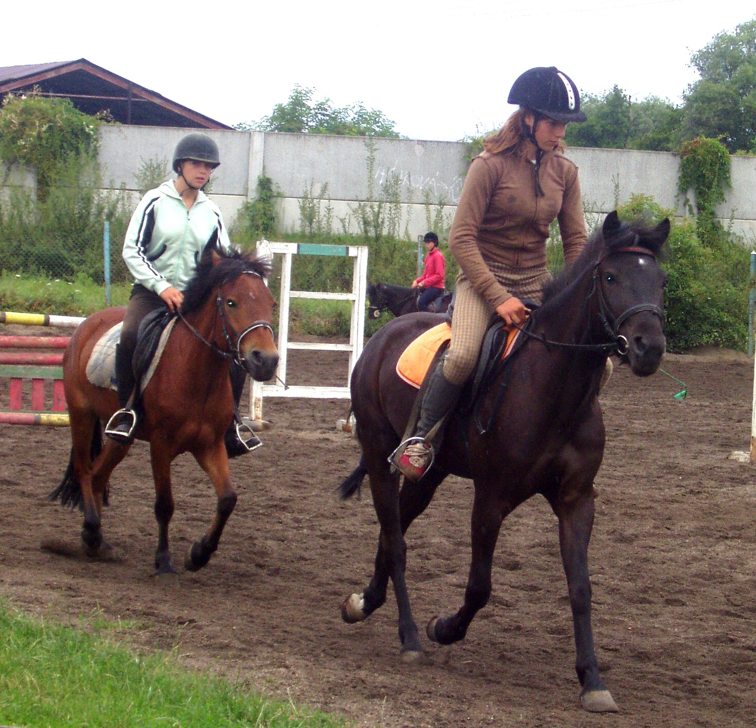 P1010069.JPG