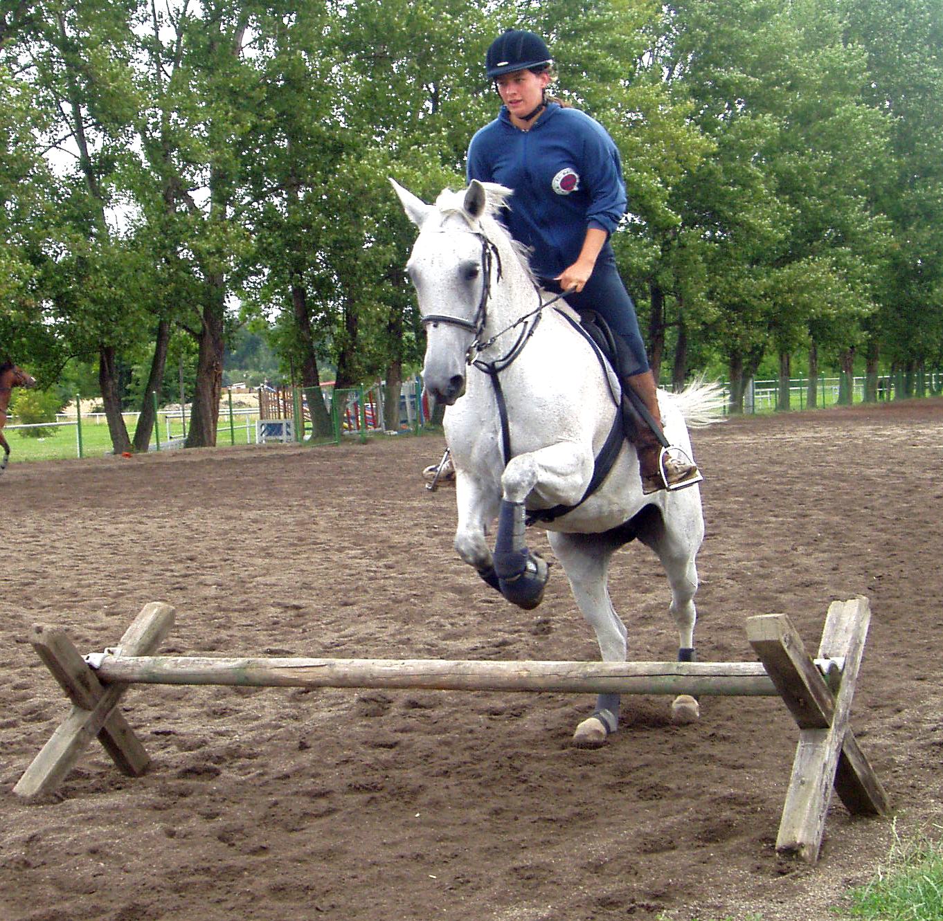 P1010081.JPG