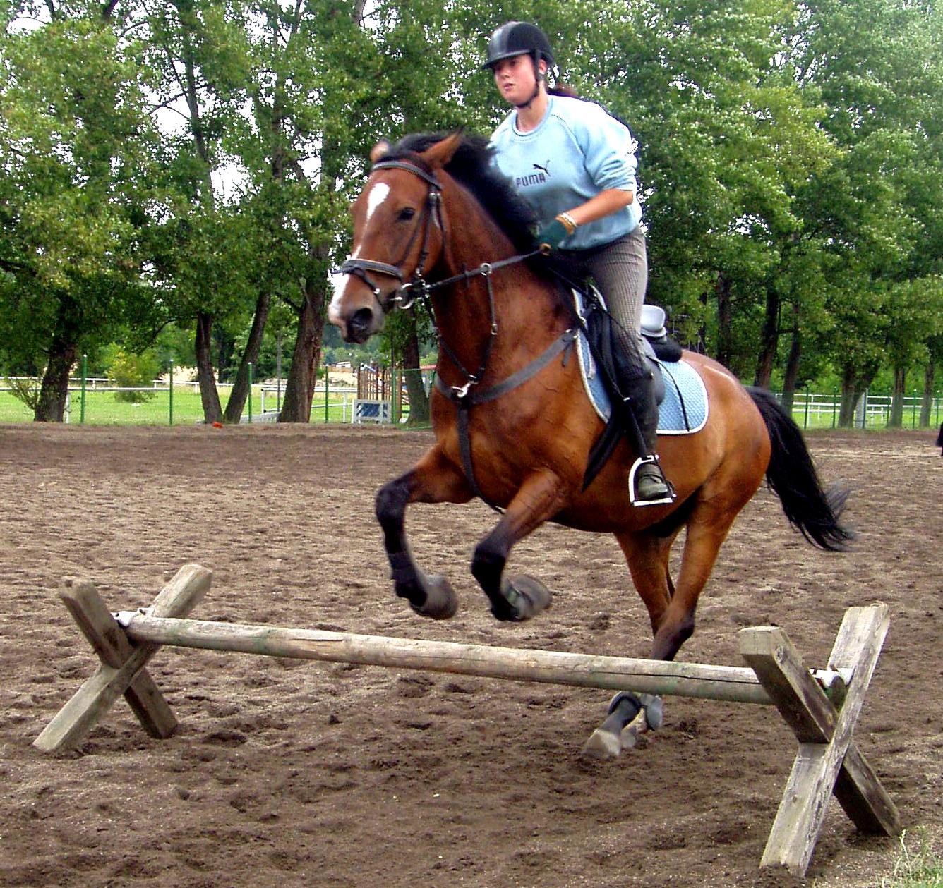 P1010085.JPG
